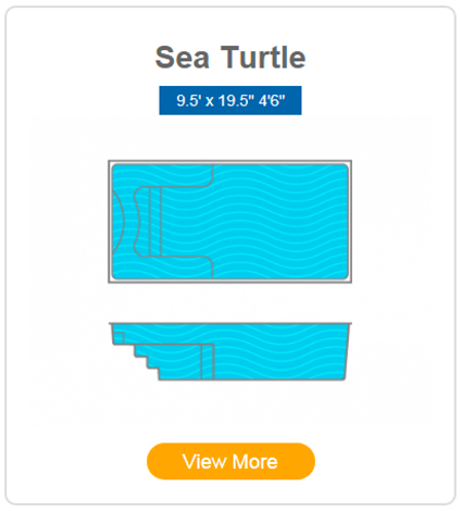 sea turtle pool shell